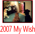 CFVideo2007Thumbnail